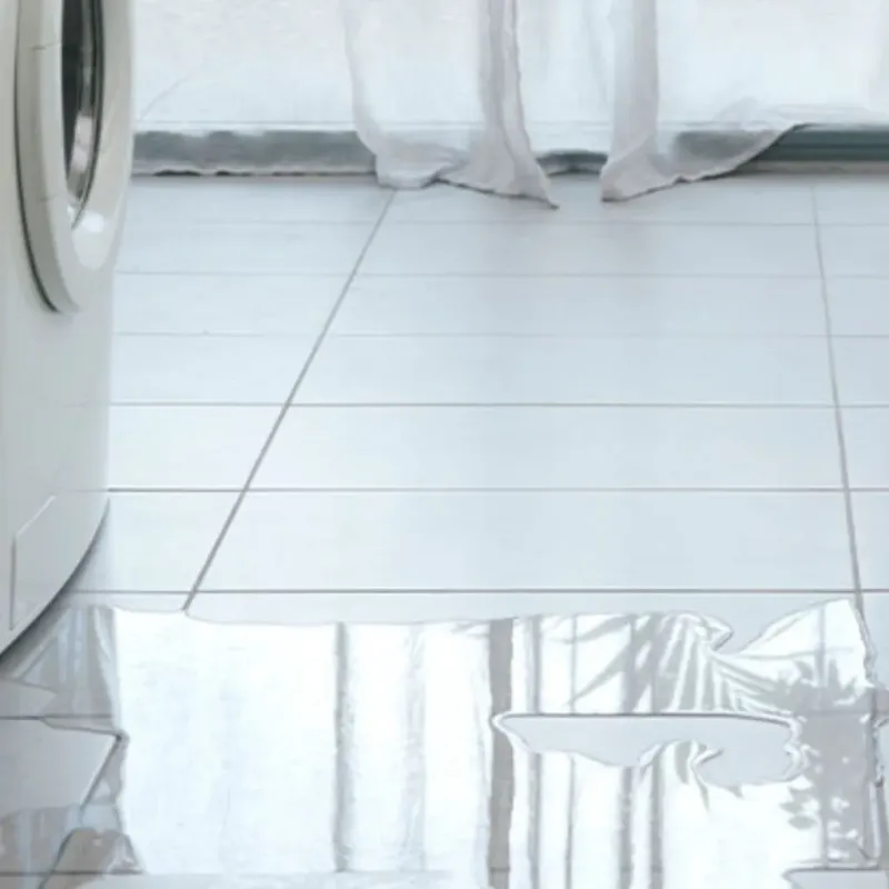 Appliance Leak Cleanup in Port Henry, NY