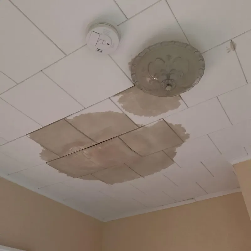 Ceiling Water Damage Repair in Port Henry, NY
